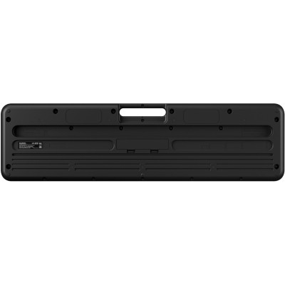 Синтезатор Casio LK-S250 (222030)