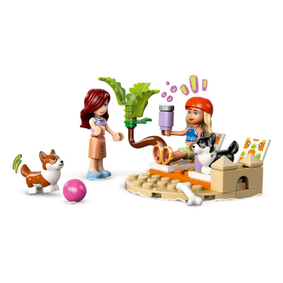 Конструктор LEGO Friends Собачі пригоди на серфі та скутері (42641)