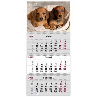 Календар Axent настінний квартальний 2025 рік 3 пр. Dogs 1 (8803-25-16-A)