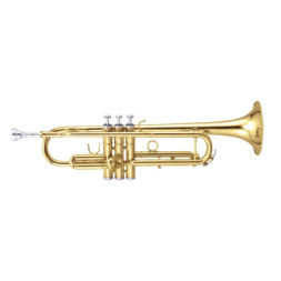 Труба Maxtone TTC-60/L-2