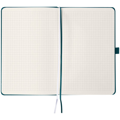 Книга записна Axent Partner Колоски 125x195 мм, 96 аркушів, клітинка, малахітова (8201-31-6-A)