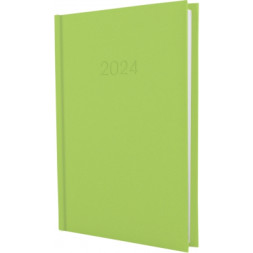 Тижневик Economix датований 2024 SATIN фісташковий, А5 (E21612-67)