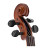 Скрипка Stentor Student II Violin Outfit 1/4 (1500F)