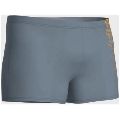 Плавки Arena Kikko V Swim Short 006703-530 сірий 90 (3468337491286)