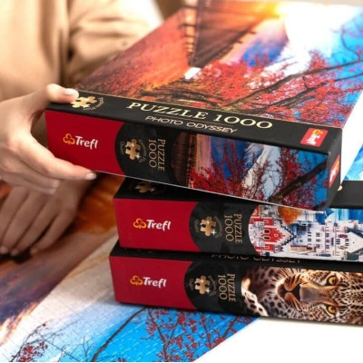 Пазл Trefl Premium Манхеттен, Нью-Йорк 1000 елементів (5900511108286)