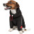 Худі для тварин Pet Fashion &quot;Snoodie&quot; S-М чорне (4823082423422)