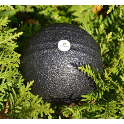 Масажний м&#039;яч U-Powex Epp foam ball d8cm Black (UP_1003_Ball_D8cm)