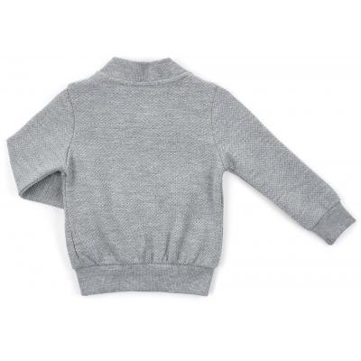 Кофта дитяча на блискавці Breeze (13593-80B-gray)