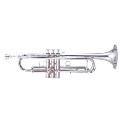 Труба Maxtone TTC-60/N-2