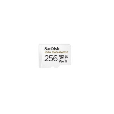 Карта пам&#039;яті SanDisk 256GB microSD class 10 UHS-I U3 V30 High Endurance (SDSQQVR-256G-GN6IA)