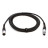 Мікрофонний кабель D&#039;Addario Custom Series Microphone Cable 3m (PW-M-10)