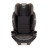 Автокрісло Evenflo EveryKid LX (1,8 до 54,4 кг) Livingstone (032884204588)