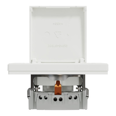 Розетка Schneider Electric ASFORA з кришкою, біла (EPH3100121)
