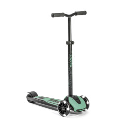 Самокат Scoot&amp;Ride Highwaykick 5 LED Forest (SR-190117-FOREST)