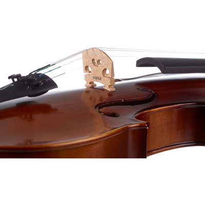 Скрипка Stentor Graduate Violin Outfit 4/4 (1542A)