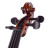Скрипка Stentor Graduate Violin Outfit 4/4 (1542A)