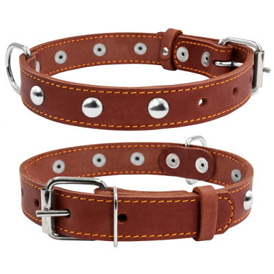 Ошейник для животных Collar одинарный с украшениями Ш 20 мм Д 32-40 см коричневый (01356)