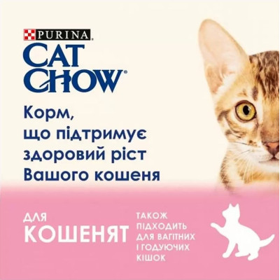 Вологий корм для кішок Purina Cat Chow З Ягням та Цукіні в желе 85 г (8445290426536)