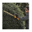 Кущоріз DeWALT DCM563P1