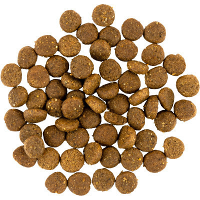 Сухий корм для собак Savory Puppy rich in Fresh Turkey and Chicken 12 кг (4820232630303)