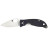 Ніж Spyderco Alcyone (C222GPGY)