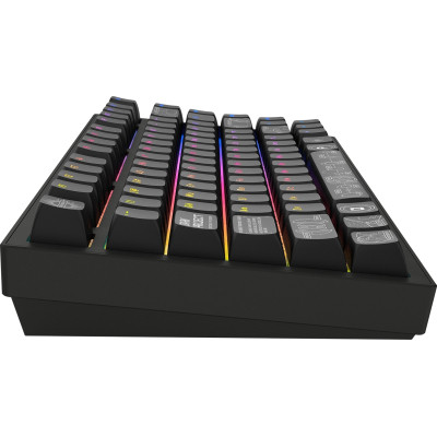 Клавіатура Dark Project ALU81 Terra Nova PBT RGB Mech G3MS Moonstone Black (DPKB_NOVA_81_ANSI_BLACK_UA)