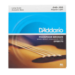 Струни для гітари D'Addario Acoustic Bass Phosphor Bronze Light 4-String (45-100) (EPBB170)
