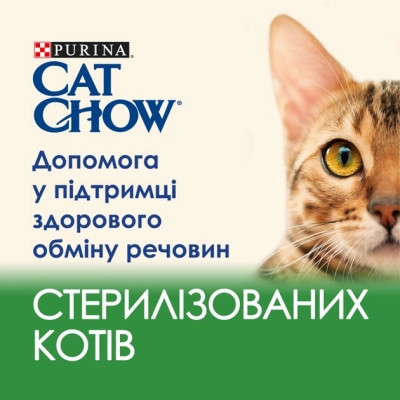 Вологий корм для кішок Purina Cat Chow Sterilised з ягням та зеленою квасолею в желе 85г (7613037025484)