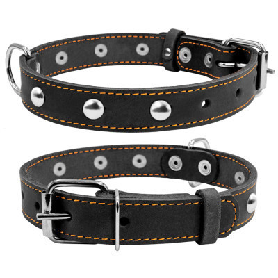 Нашийник для тварин Collar одинарний з прикрасами Ш 20 мм Д 32-40 см чорний (01351)
