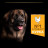 Сухий корм для собак Purina Pro Plan Dog Large Adult Robust з куркою 14 кг (7613035120426)