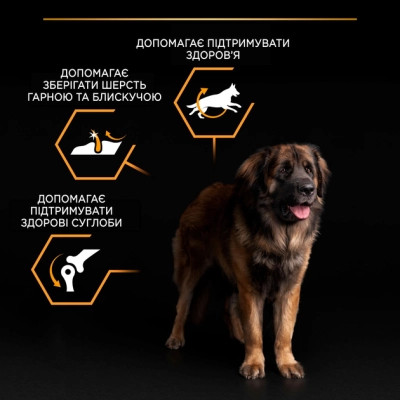 Сухий корм для собак Purina Pro Plan Dog Large Adult Robust з куркою 14 кг (7613035120426)
