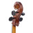 Віолончель Stentor Student II Cello Outfit 1/2 (1108E)