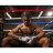 Бинт для спорту Title Boxing Select 180&quot; Semi Elastic Mexican 4.5м White (SMHW XL WH)