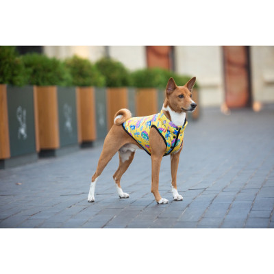 Курточка для тварин WAUDOG Clothes &quot;Рік і Морті 3&quot; M45 (0945-0282)