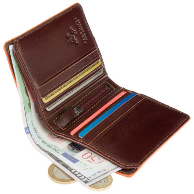 Гаманець Visconti ALP92 Tignes Brown (ALP92 BRN)