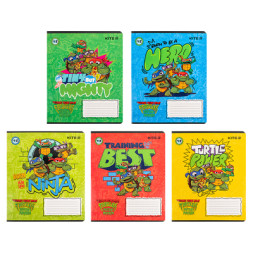 Зошит Kite Ninja Turtles, 12 аркушів, клітинка (NT24-232)