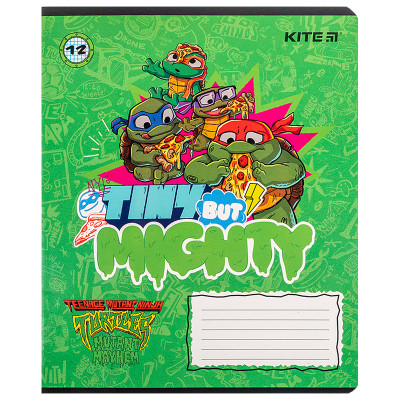 Зошит Kite Ninja Turtles, 12 аркушів, клітинка (NT24-232)