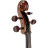 Віолончель Stentor Student I Cello Outfit 3/4 (1102C2)