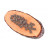 Сухий корм для собак Carnilove True Fresh TURKEY for Adult dogs 4 кг (8595602545964)