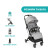 Коляска Chicco Trolleyme Stroller (79865.28)