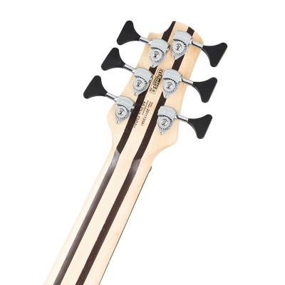 Бас-гітара Cort A6 Plus FMMH (Open Pore Natural)