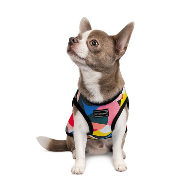 Борцівка для тварин Pet Fashion Cool XS2 різнобарвна (4823082420179)