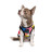 Борцівка для тварин Pet Fashion Cool XS2 різнобарвна (4823082420179)