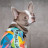 Борцівка для тварин Pet Fashion Cool XS2 різнобарвна (4823082420179)