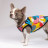 Борцівка для тварин Pet Fashion Cool XS2 різнобарвна (4823082420179)
