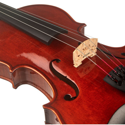 Скрипка Stentor Conservatoire Violin Outfit 4/4 (1550A)