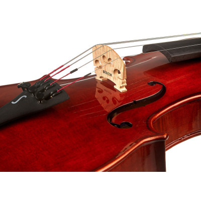 Скрипка Stentor Conservatoire Violin Outfit 4/4 (1550A)