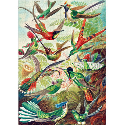 Пазл GoodLoot Imagination: Ernst Haeckel Hummingbirds/Kolibry 1000 елементів (5908305246794)
