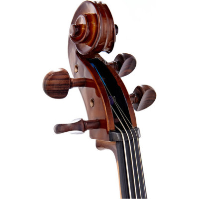 Віолончель Stentor Student I Cello Outfit 1/2 (1102E2)