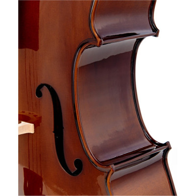 Віолончель Stentor Student I Cello Outfit 1/2 (1102E2)